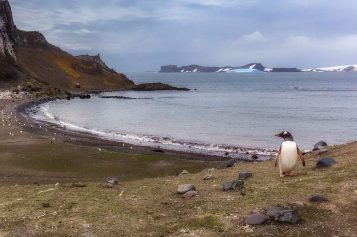 antarctica-beach