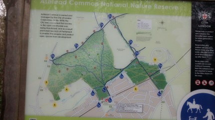 4Feb19 Walk2 Map